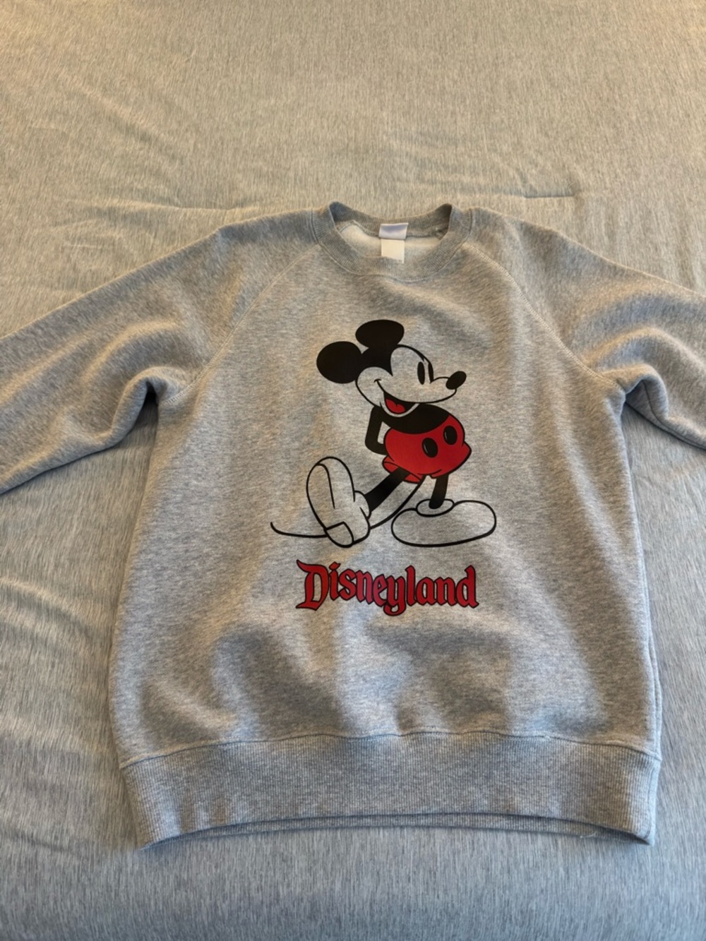 Disneyland Sweatshirt - Picture 2 of 4